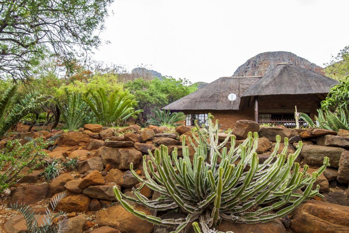 Amafu Forest Lodge Hoedspruit Dış mekan fotoğraf
