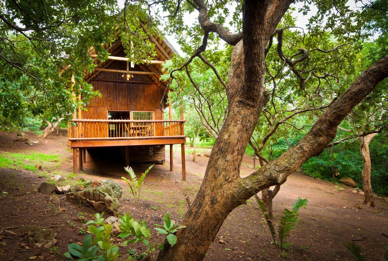 Amafu Forest Lodge Hoedspruit Dış mekan fotoğraf