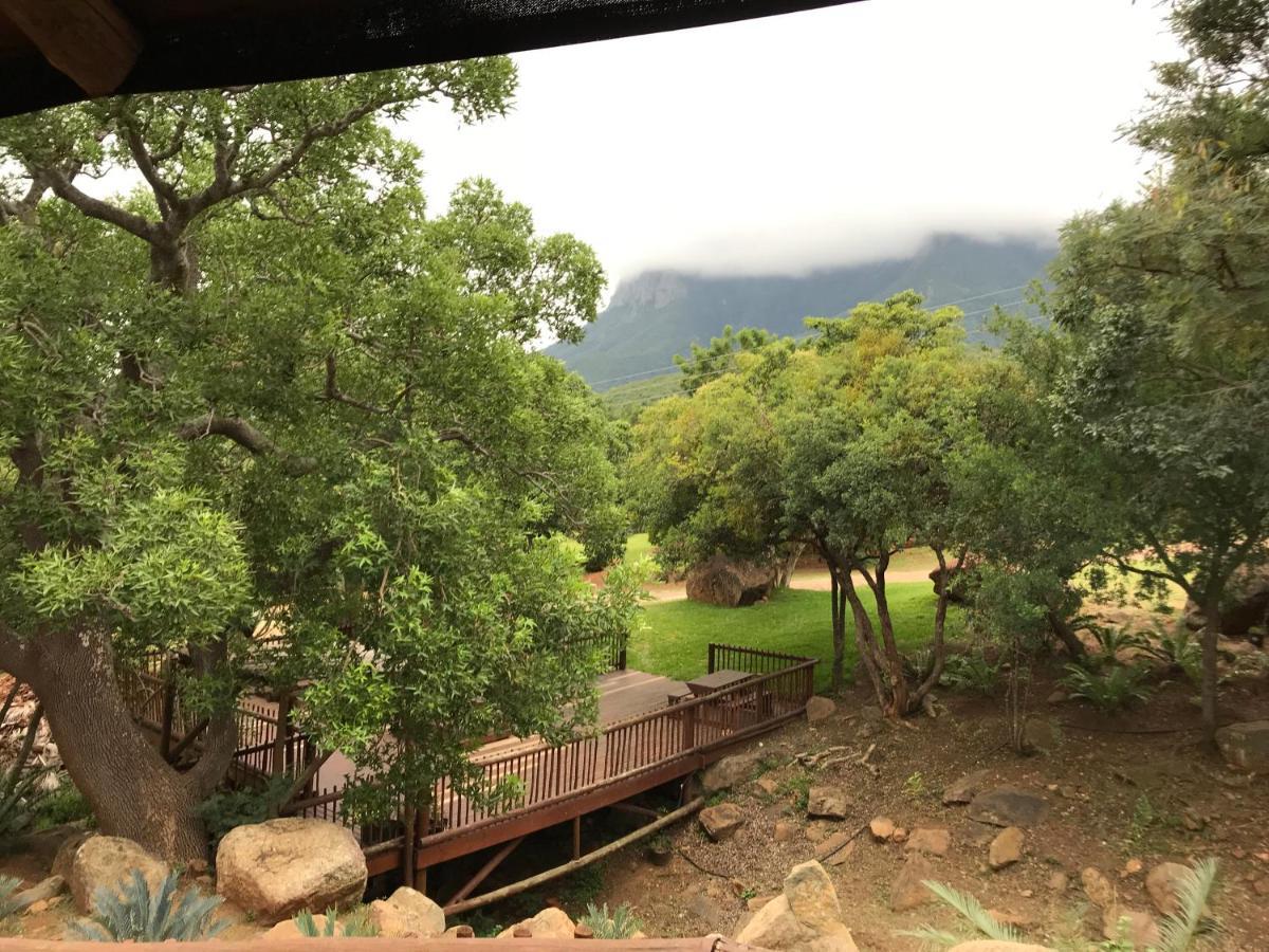 Amafu Forest Lodge Hoedspruit Dış mekan fotoğraf