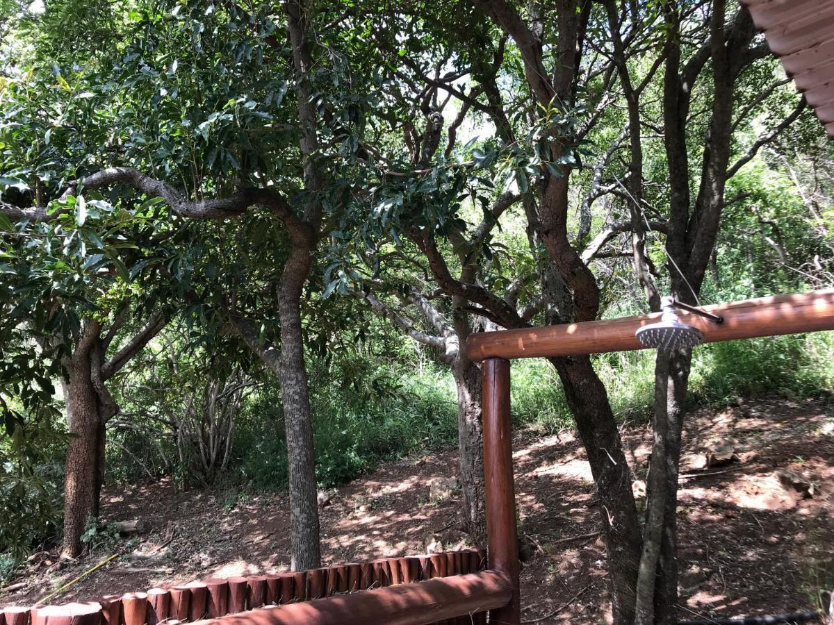 Amafu Forest Lodge Hoedspruit Dış mekan fotoğraf